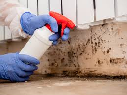 Best Mold Prevention Services  in Beacon Hill, WA